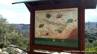 stello marchesa di Cassibile-10-02-2015 19-58-50